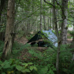woodland tent